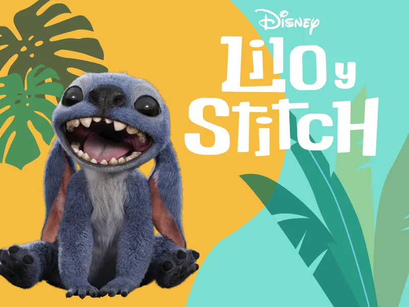 Stitch