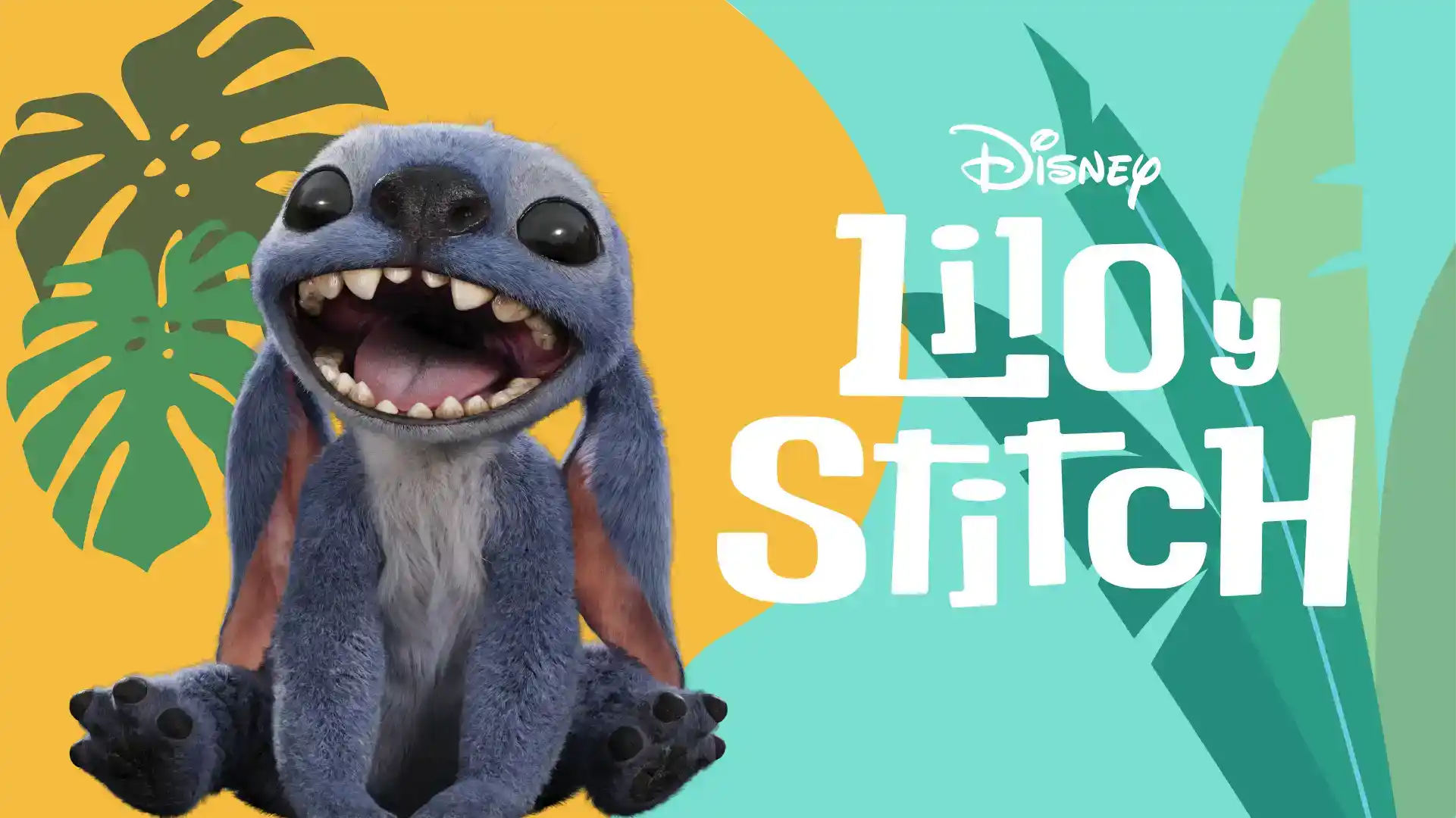 Stitch