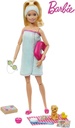 Muñeca Barbie Mascotas y Accesorios 3a+