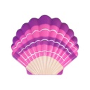 Maquillaje Estuche en Forma de Concha 5A+(433495)