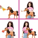 Muñeca Barbie Renee Set de Cuidado de Caballito 3a+
