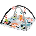 Fisher Price /  Gimnasio De Actividades Musicales 3 En 1