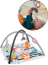 Fisher Price /  Gimnasio De Actividades Musicales 3 En 1