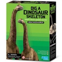 Kidz Labs Cava y Arma Tu Fósil de Brachiosaurus 8a+
