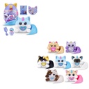 Huevo Rainbocorns KittyCorn Sorpresa Displ/6 3a+