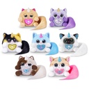 Huevo Rainbocorns KittyCorn Sorpresa Displ/6 3a+