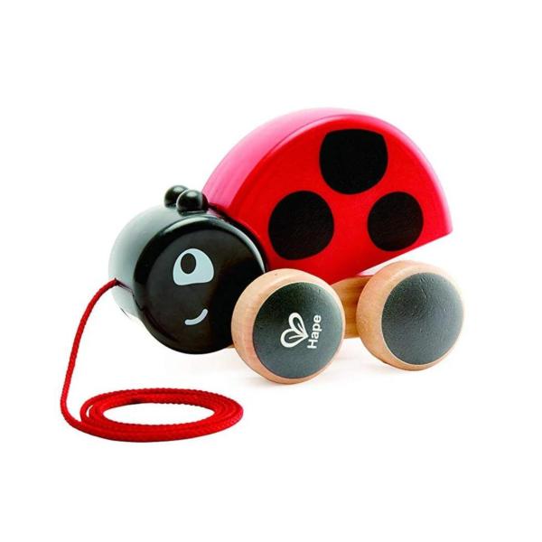 Mariquita de Madera para Jalar 12m+