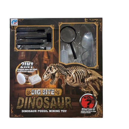 [WW857554] Set de Fosiles de Dinosaurios 6a+ (453325)