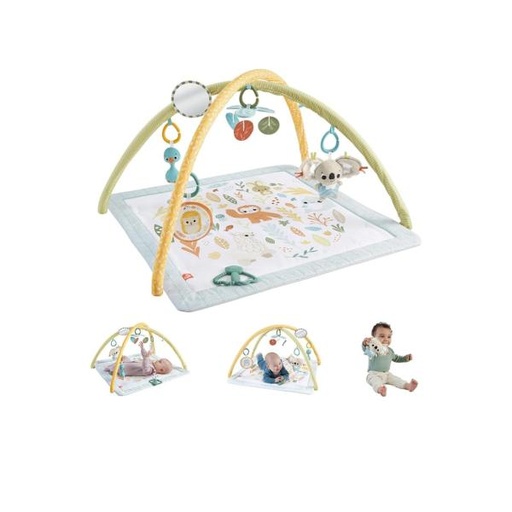 [MTHRB15] Fisher Price / Gimnasio para Bebés Primeros Sentidos 0m+