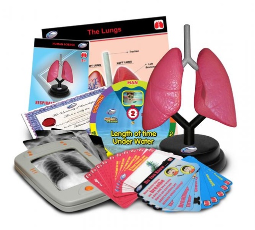 [ET36095] Juego Sistema Respiratorio de Lujo 8a+