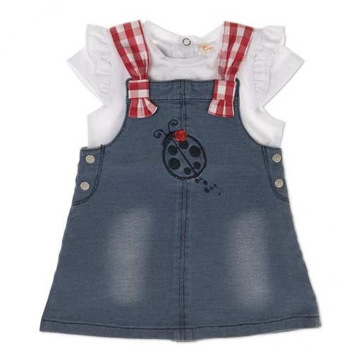 [BBL191146M] Conjunto Vestido y Blusa Mariquita 6m