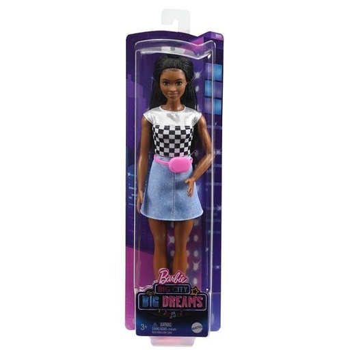 [MTGXT04] Muñeca Barbie Big City Big Dreams 3a+