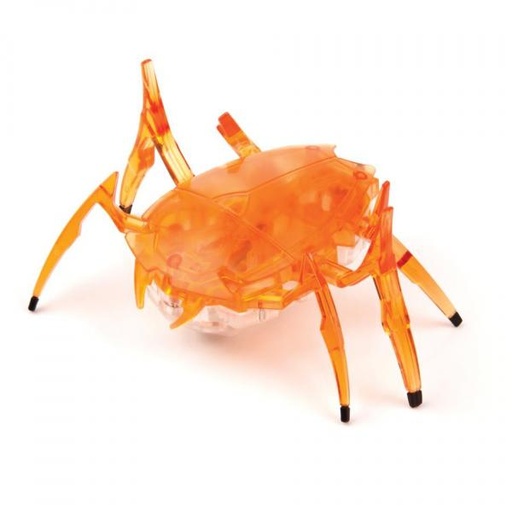 [HV4772248] Insecto Escarabajo Surt/2