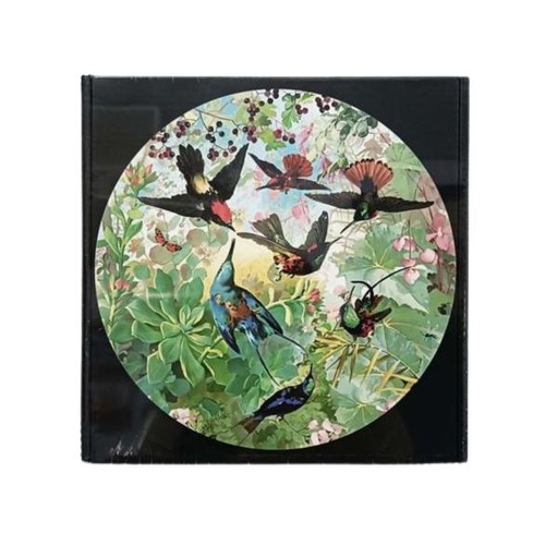 [WW06092] Rompecabezas Circular de Aves 1000Pzs 7a+